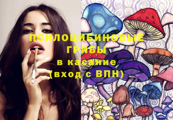 прущие грибы Алексин