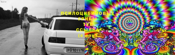 гидропоника Алзамай