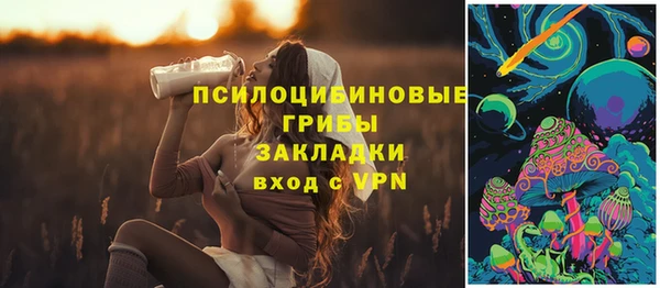 прущие грибы Алексин