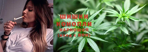 гидропоника Алзамай